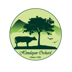 Himalayan Orchard Yoga Meditation And Art Centre Logo