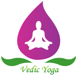 Vedic Yoga Centre Rishikesh